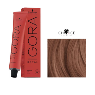9,5-49 Краска для волос Schwarzkopf Igora Royal Светлый блондин пастельный перламутровый